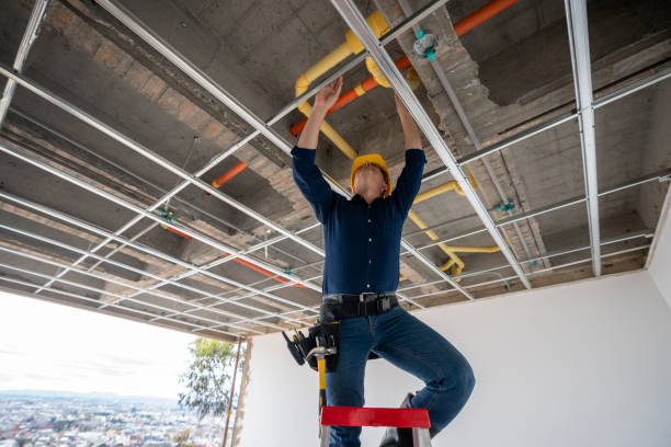 Best Plumbing Inspection Services  in Northridge, OH